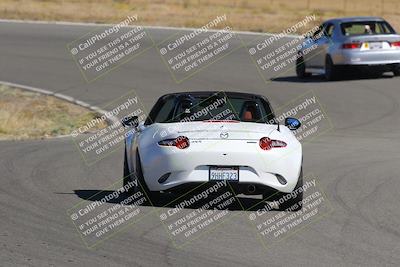 media/Nov-03-2023-Club Racer Events (Fri) [[fd9eff64e3]]/Yellow/Back Shots/